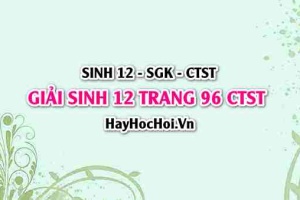 Giải Sinh 12 trang 96 Chân trời sáng tạo SGK